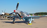 thn_IMG_3915.jpg