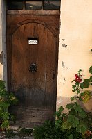 thn_IMG_6539.jpg