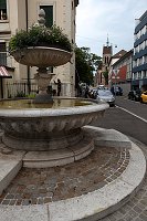thn_IMG_6559.jpg