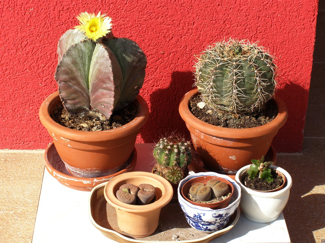 P9170011.jpg
