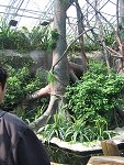 thn_IMG_0312.jpg