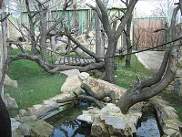 thn_IMG_0314.jpg