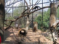thn_IMG_0317.jpg