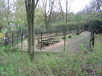 thn_IMG_0319.jpg