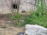 thn_IMG_0331.jpg