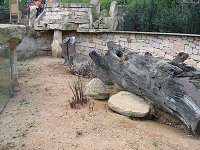 thn_IMG_0335.jpg