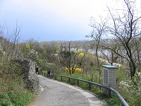 thn_IMG_0372.jpg