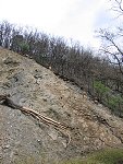 thn_IMG_0375.jpg