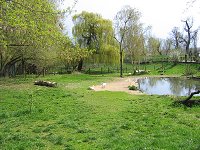 thn_IMG_0378.jpg