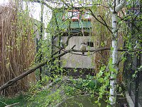thn_IMG_0380.jpg