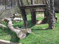 thn_IMG_0390.jpg