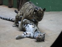 thn_IMG_0395.jpg