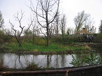 thn_IMG_0399.jpg