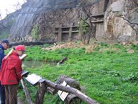 thn_IMG_0403.jpg
