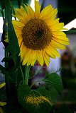 thn_IMG_4565.jpg