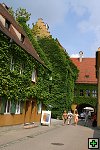 thn_IMG_3648.jpg