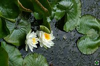 thn_IMG_3668.jpg