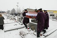 thn_IMG_0135.jpg