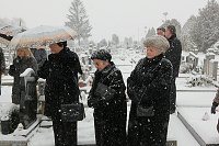 thn_IMG_0147.jpg