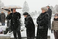 thn_IMG_0148.jpg
