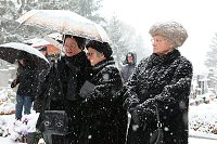thn_IMG_0156.jpg