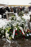 thn_IMG_0166_1.jpg