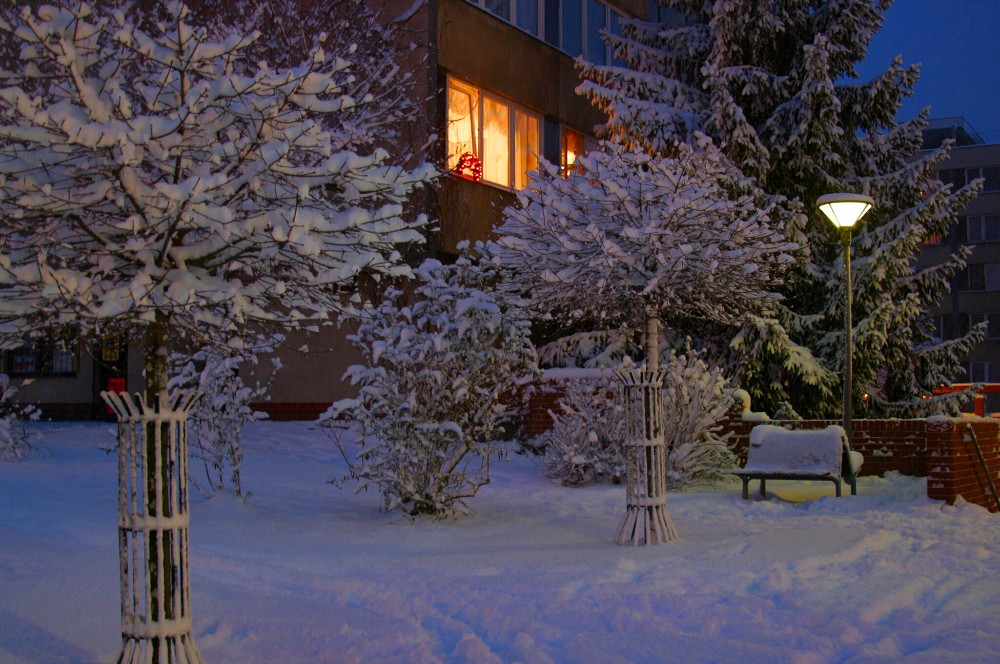 CRW_8479.jpg