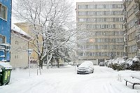 thn_CRW_8300.jpg