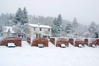 thn_CRW_8320.jpg