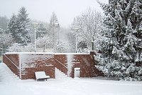 thn_CRW_8326.jpg