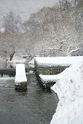 thn_CRW_8384.jpg