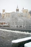 thn_CRW_8397.jpg