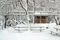 thn_CRW_8406.jpg