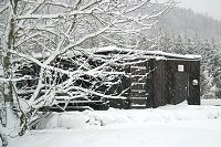 thn_CRW_8409.jpg