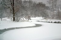 thn_CRW_8416.jpg