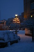 thn_CRW_8431.jpg