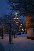 thn_CRW_8434.jpg