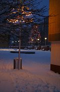 thn_CRW_8435.jpg