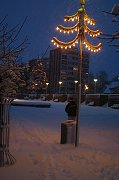 thn_CRW_8436.jpg