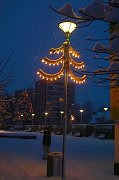 thn_CRW_8437.jpg