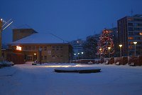 thn_CRW_8438.jpg