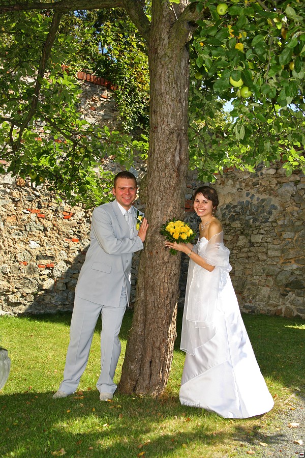 img_IMG_8315.jpg