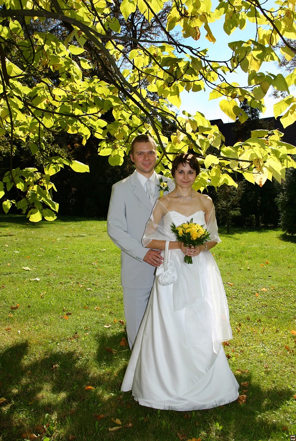 img_IMG_8326.jpg