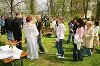 thn_IMG_0617.jpg