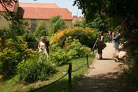 thn_IMG_7181.jpg