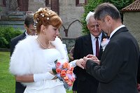 thn_IMG_7601.jpg