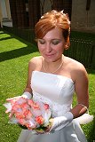 thn_IMG_8762.jpg