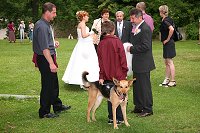 thn_IMG_8828.jpg