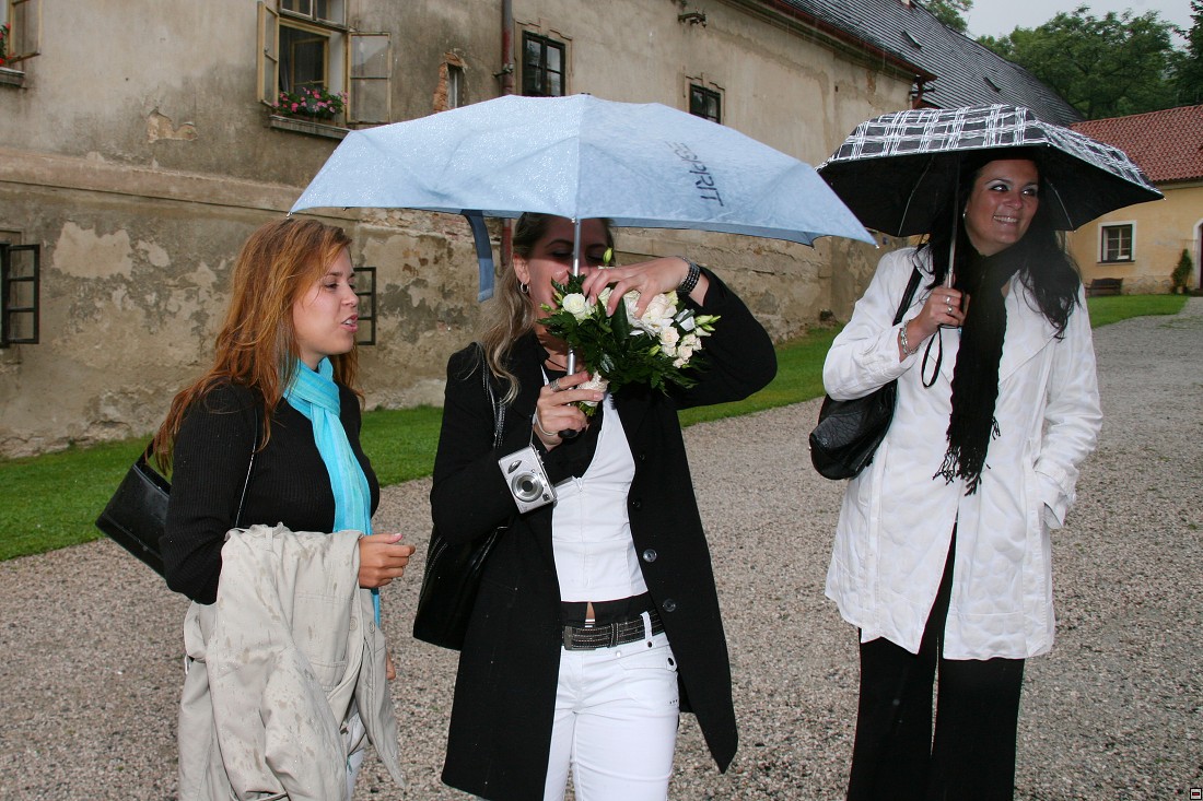img_IMG_0494.jpg