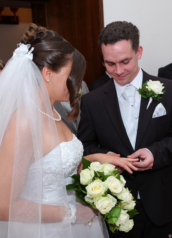 img_IMG_7091.jpg